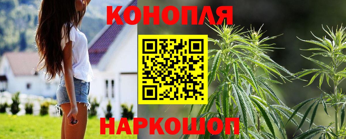 Бошки Шишки ГИДРОПОН Вязьма