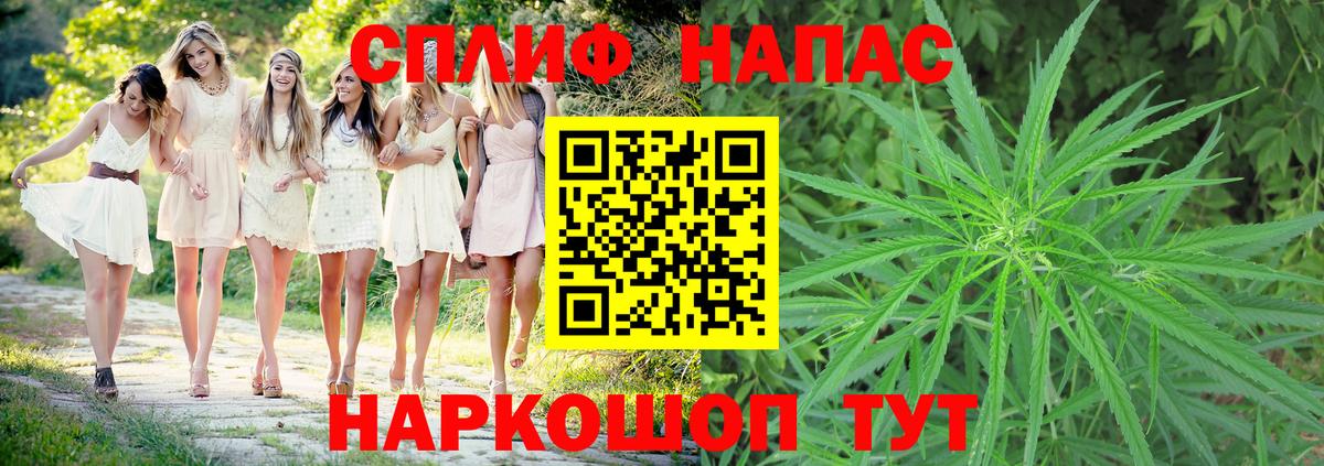 Шишки марихуана гибрид  Конопля Bruce Banner  Вход с VPN  Канабис тримм  Вязьма 